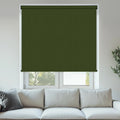 Pop Blackout Fern