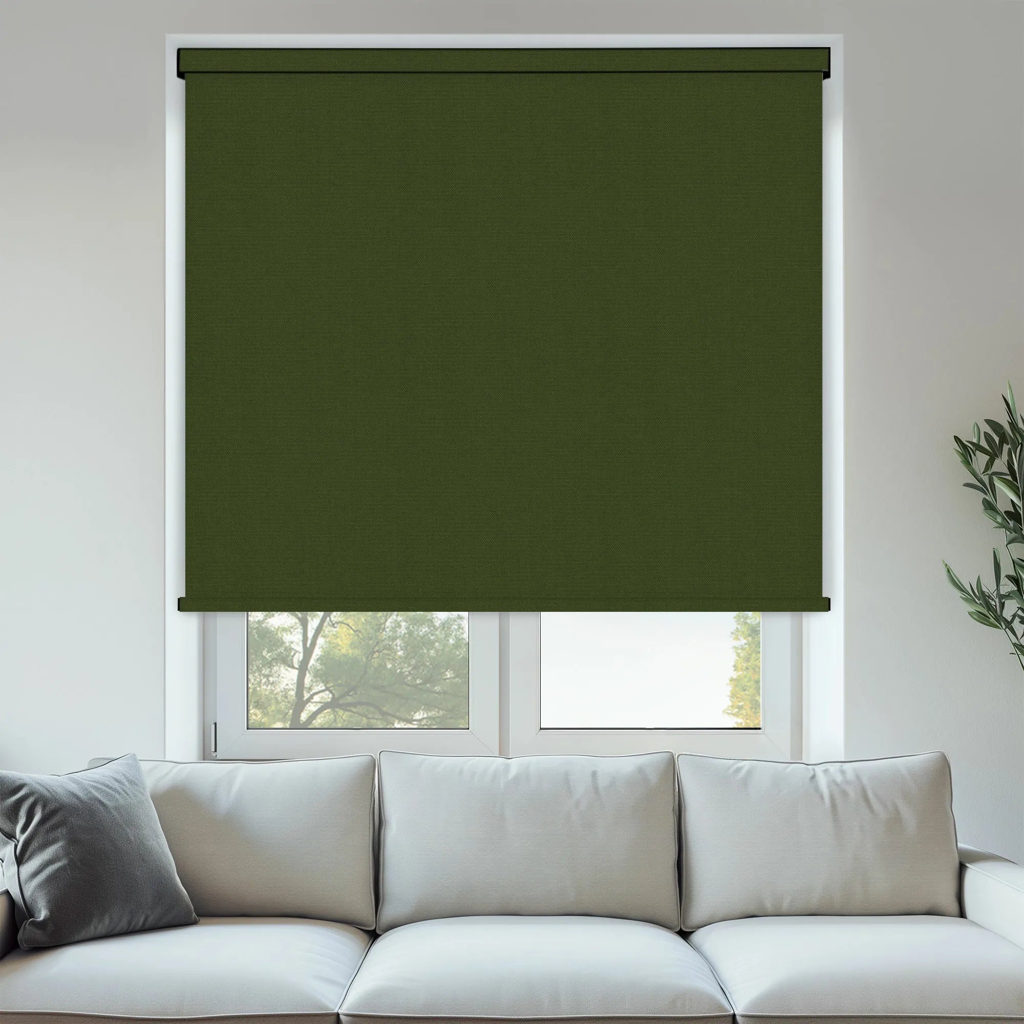 Pop Blackout Fern