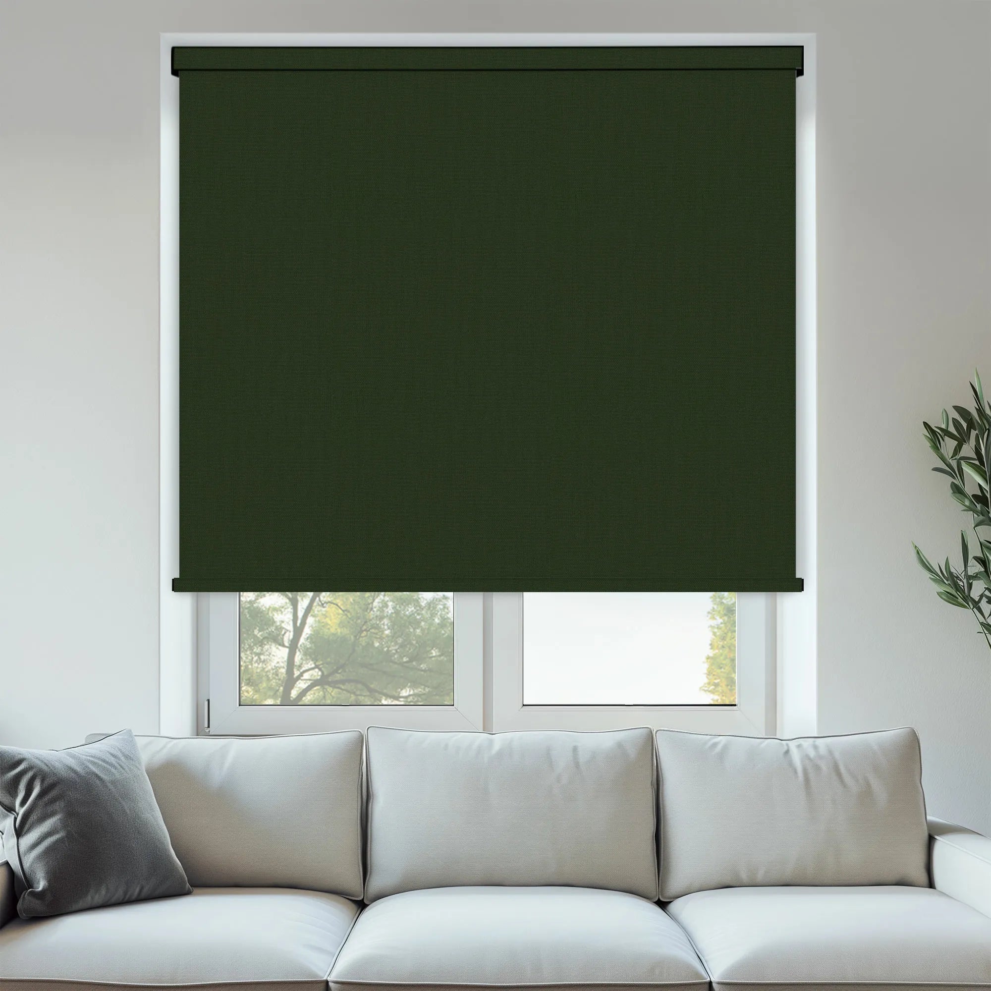 Pop Blackout Ivy