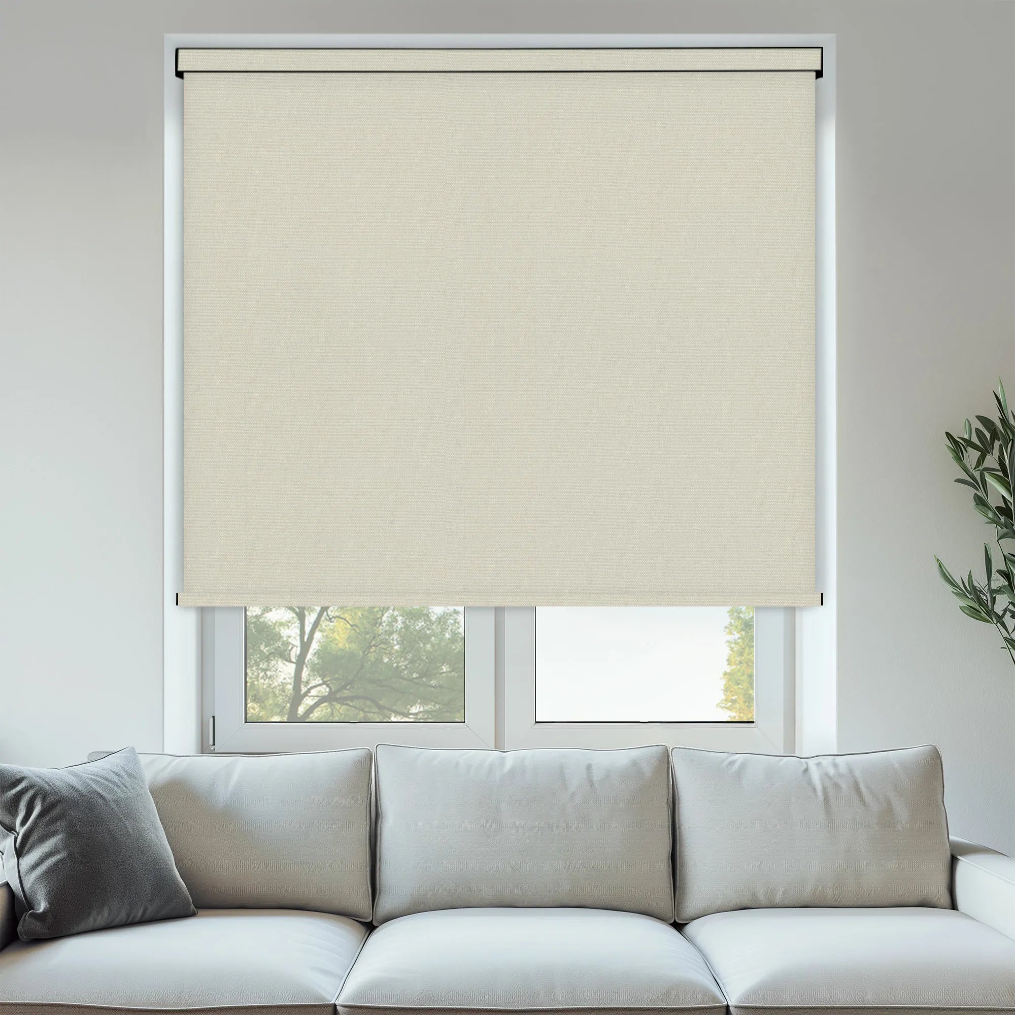 Pop Linen
