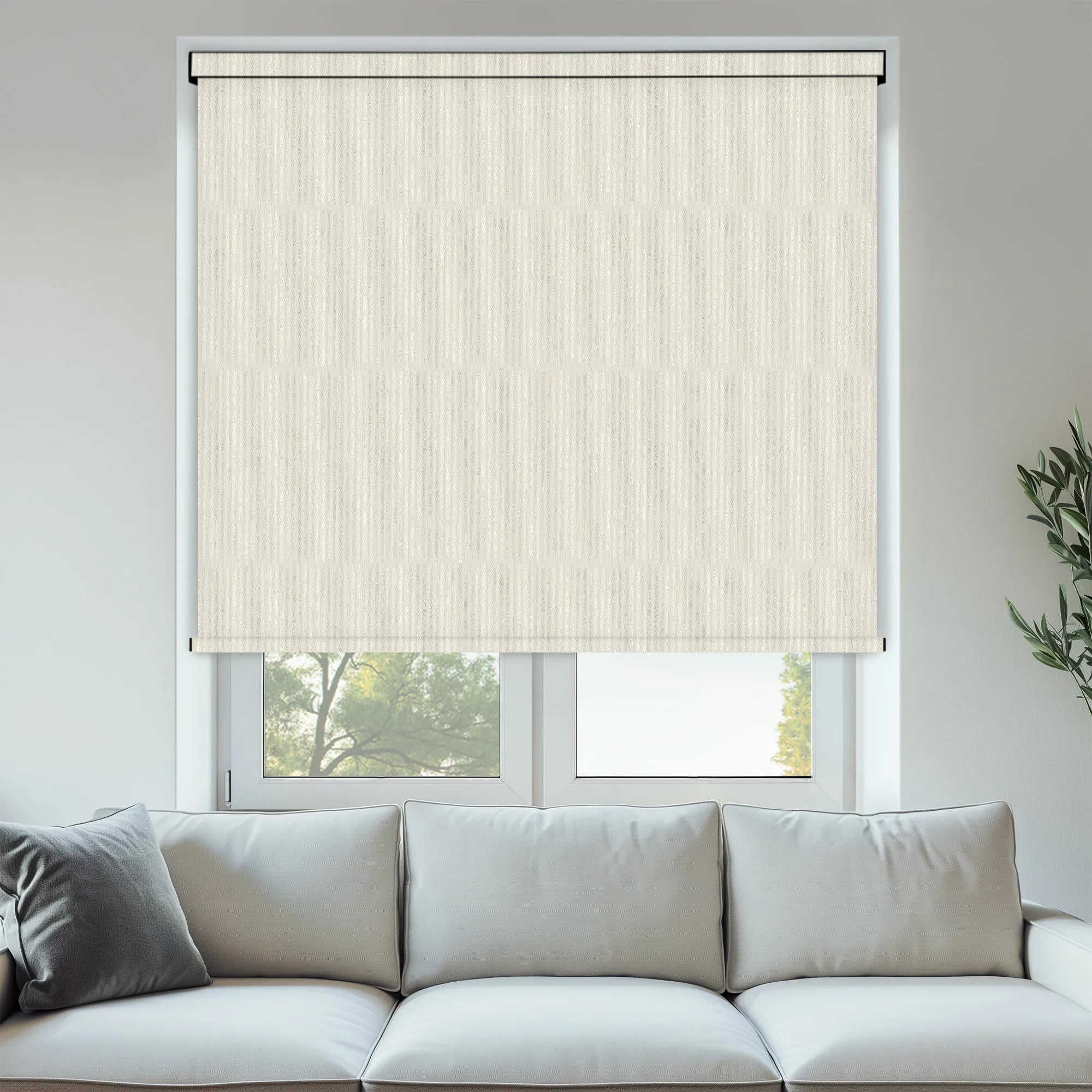 Romany