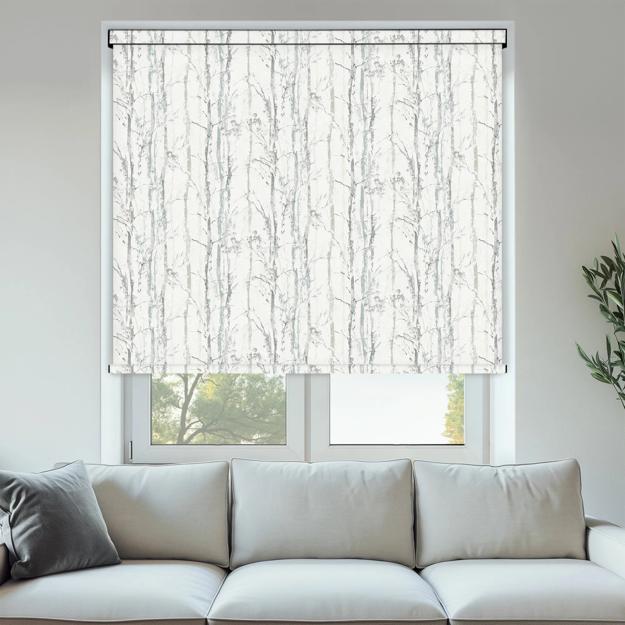 Swedish Birch Silver