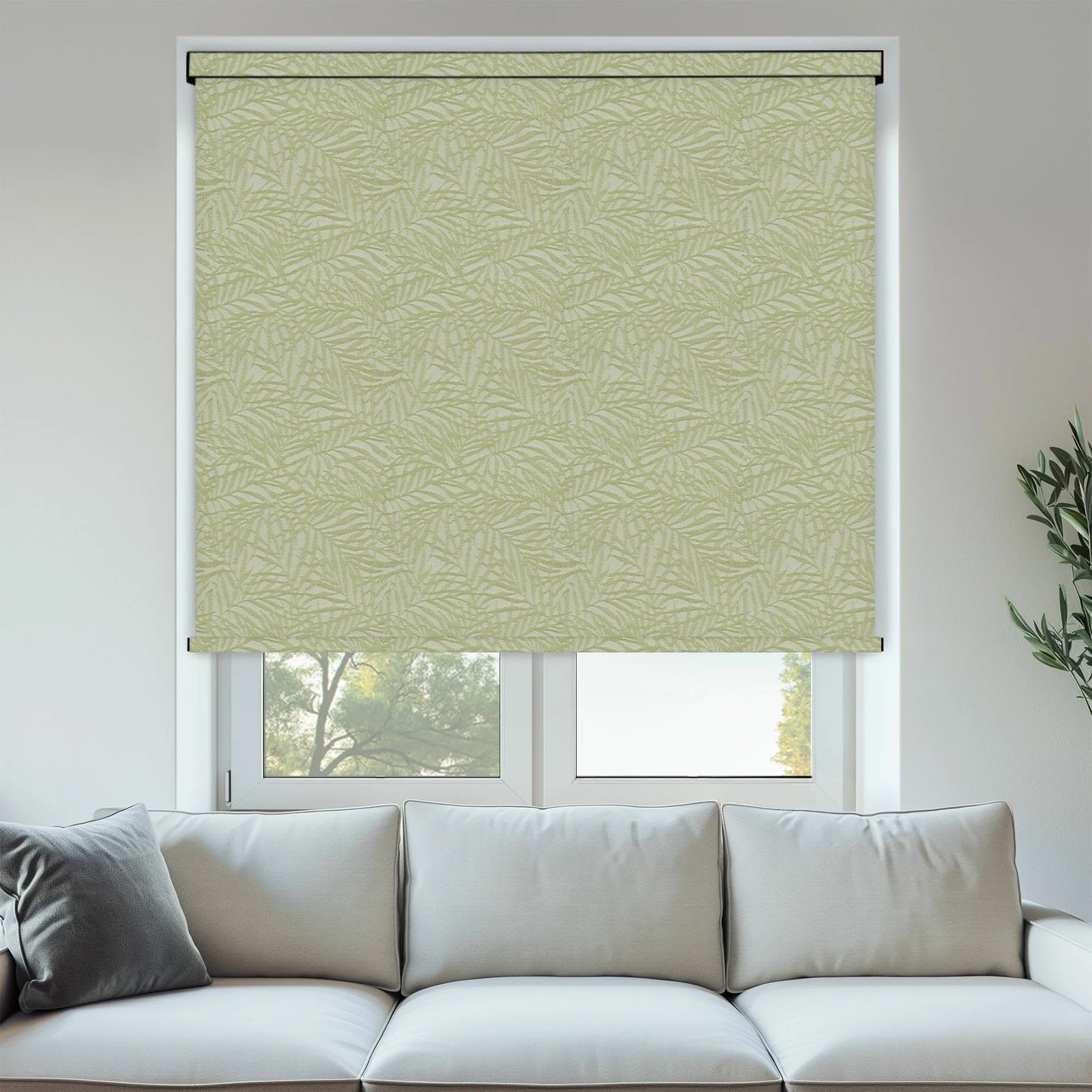 Zen Blackout Kiwi