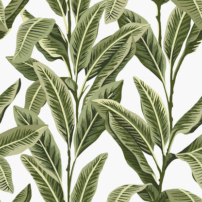 Tropical Palm Aloha