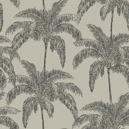 Vintage Palm Black