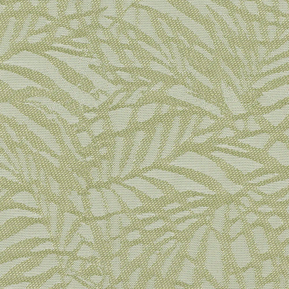 Zen Kiwi