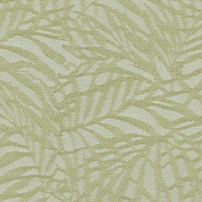 Zen Kiwi